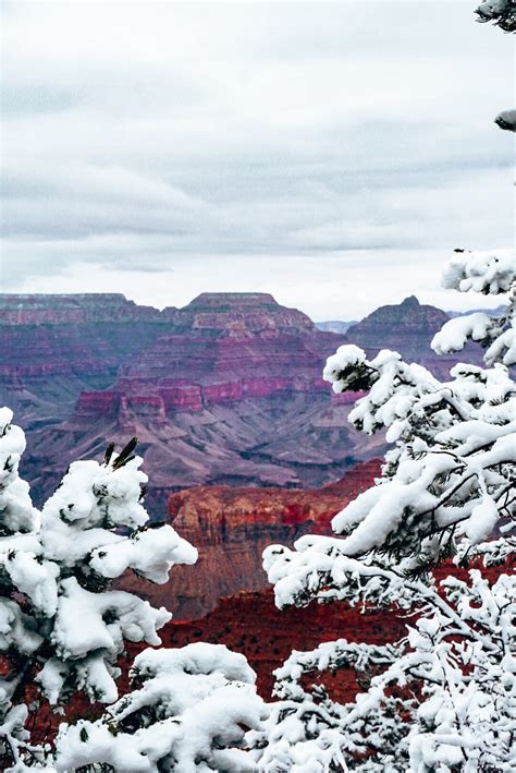 5 Tips for the Grand Canyon in Winter • Amanda Wanders