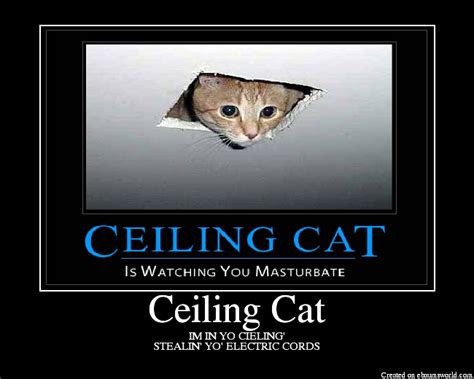 Ceiling Cat Wallpaper Meme Wallpapers - HooDoo Wallpaper