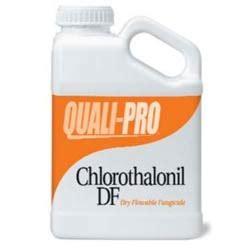 Chlorothalonil DF fungicide | Chlorothalonil fungicide | Chlorothalonil DF | Chlorothalonil