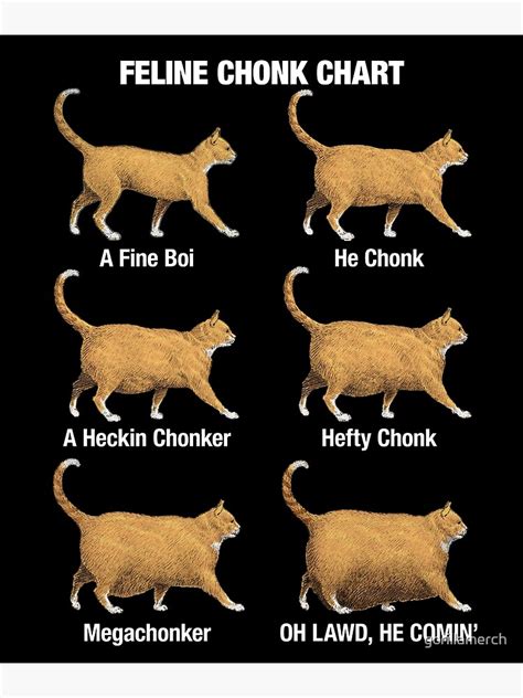 "Feline Conk Chart, Funny Chonk Cat Meme" Canvas Print for Sale by ...