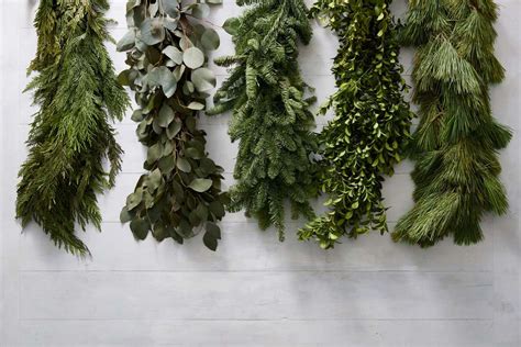 Your Guide to 8 Types of Lasting Greenery for Holiday Decorating | Southern Living