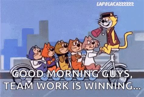 Good Morning Team Cats Bicycle Ride GIF | GIFDB.com