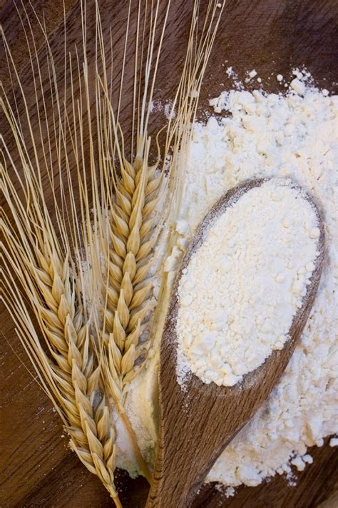 Wheat Starch | Meelunie B.V. | Ingredients Network