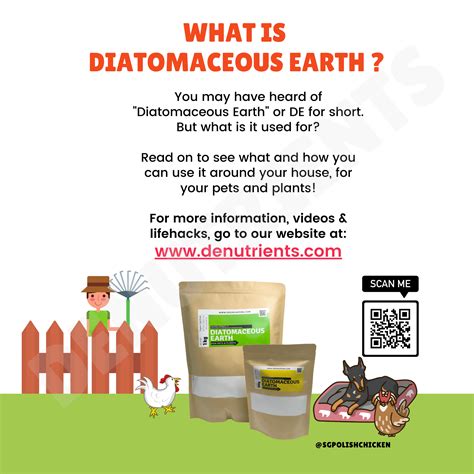 The Wonderful Uses of Diatomaceous Earth – Infographic Guide ...