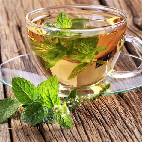 Peppermint Tea Benefits - Five Spot Green Living