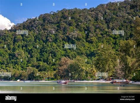 Monkey Beach in the Penang National Park in Penang, Malaysia Stock ...