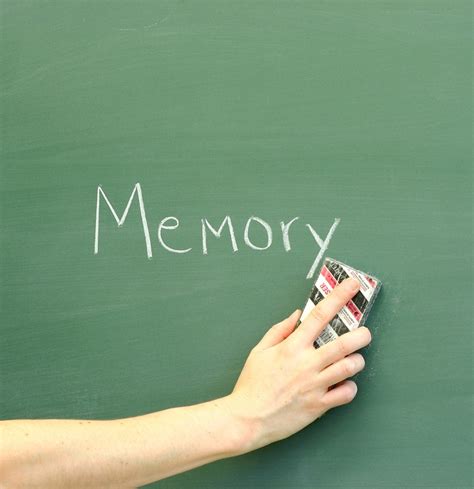 erase-memory – Nikki Kuban Minton