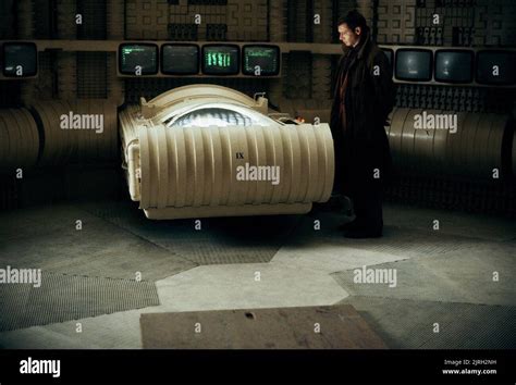 HARRISON FORD, BLADE RUNNER, 1982 Stock Photo - Alamy