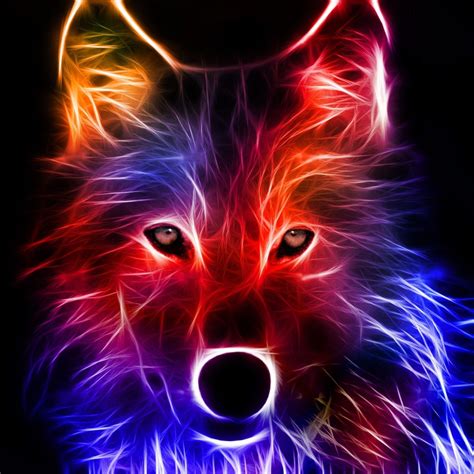 Cool Fire Wolf Wallpapers - Top Free Cool Fire Wolf Backgrounds ...