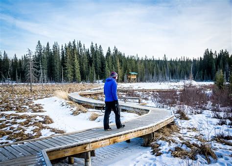 A Weekend of Winter Magic in Hinton, Alberta - Hike Bike Travel