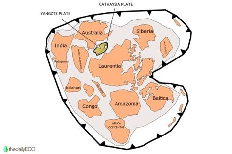 What Is the Rodinia Supercontinent? - Rodinia Formation and Fragmentation