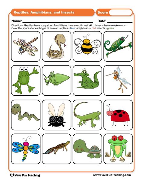 Reptiles, Amphibians, and Insects Worksheet - Have Fun Teaching ...