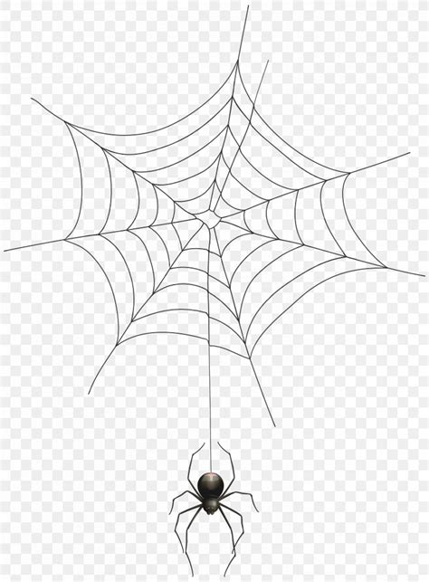 Spider Web Clip Art, PNG, 5888x8000px, Spider, Arachnid, Black And White, Drawing, Invertebrate ...