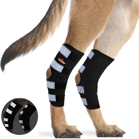 NEOALLY Rear Leg Dog Brace, X-Large - Chewy.com