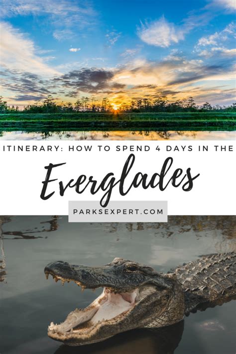 Everglades Itinerary 2024: How Many Days in the Everglades?