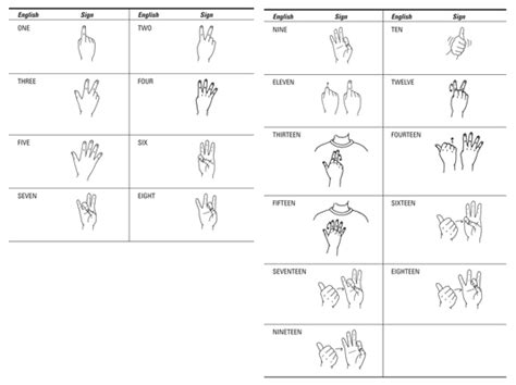 asl numbers carinewbi - asl number chart 0 30 sign language numbers asl printable etsy - Jaxon Lynn