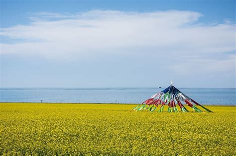 Qinghai Lake - WorldAtlas