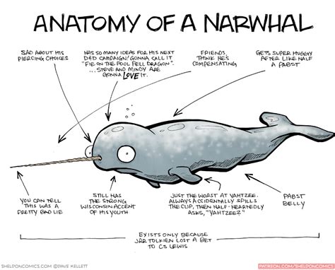 Sheldon® Comic Strip: Daily webcomic by Dave Kellett | Narwhal, Anatomy, Childrens illustrations