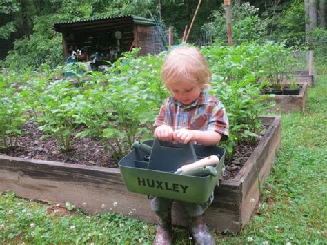 Encourage a Garden Helper | Gardening for kids, Garden, Garden helpers