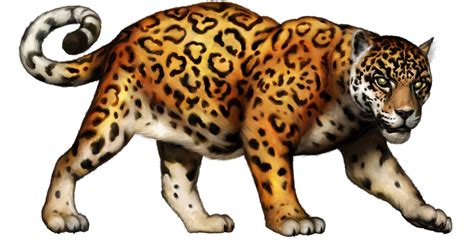 Jaguar Clipart in Animal - 47 cliparts