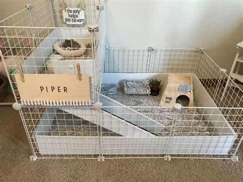 08hedgehog Cage Diy Guinea Pig Cage, Guinea Pig Hutch, Guinea Pig House, Pet Guinea Pigs, Guinea ...