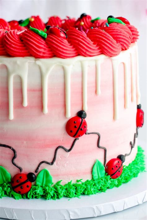 How To Make a Ladybug Cake Design - Find Your Cake Inspiration