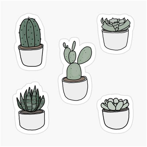 "minimalist succulent sticker pack" Sticker for Sale by blar-417 ...