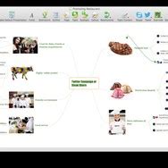 Best ConceptDraw MindMap Alternatives & Reviews (2021) - Appmus