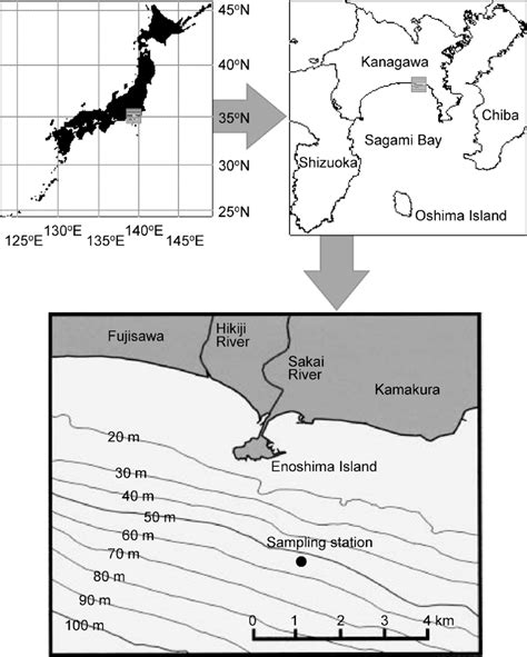 Map showing the sampling station in Sagami Bay. | Download Scientific Diagram