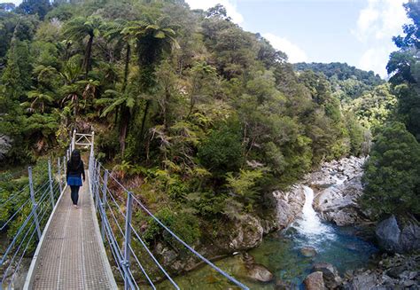 Hiking to Wainui Falls, Abel Tasman National Park | See the South ...