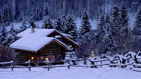 Christmas night in the forest wallpaper - Nature wallpapers - #50625