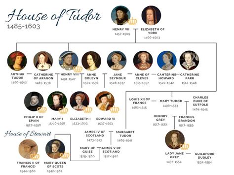 House of Tudor Family tree | Lady jane grey, Lady jane, Jane gray