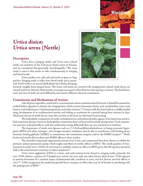 Urtica dioica or Urtica urens (Nettle) Health Benefits