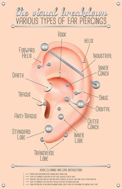 Types Of Ear Piercings Diagram