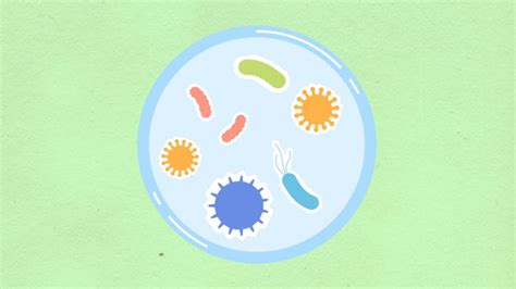 Varied Interactions Between Biofilms and Enteric Viruses on Food ...