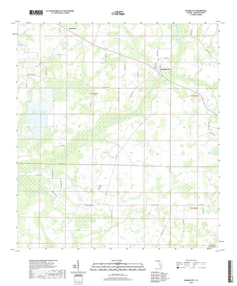 MyTopo Myakka City, Florida USGS Quad Topo Map