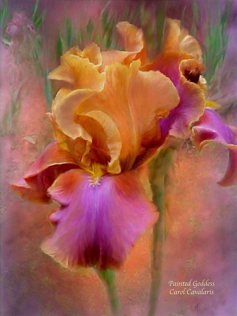 "Iris - Painted Goddess" by Carol Cavalaris | Redbubble