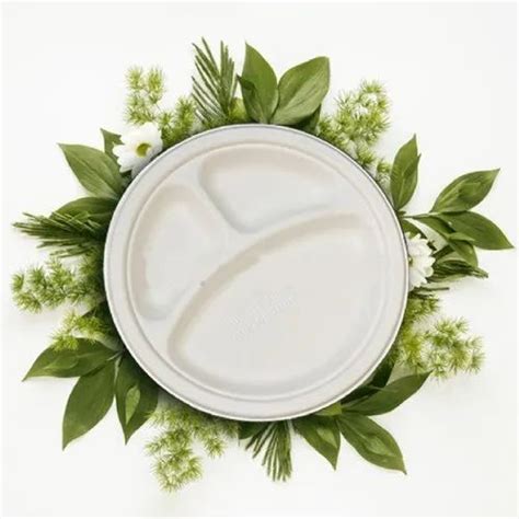 Eco-sense White Sugarcane Bagasse Plates, Size: 10", 18gm at Rs 3.8 ...