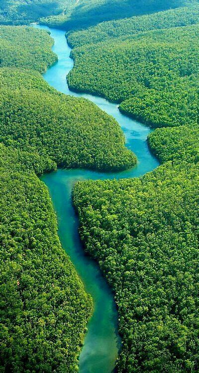 Amazon River Ecuador | Beautiful places, Nature, Wonders of the world