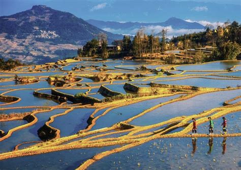 Yunnan Hiking: TOP 5 Yunnan Trekking Trails (Updated 2024)