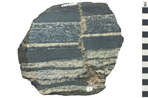 Metamorphic Rock Gneiss | Q?rius