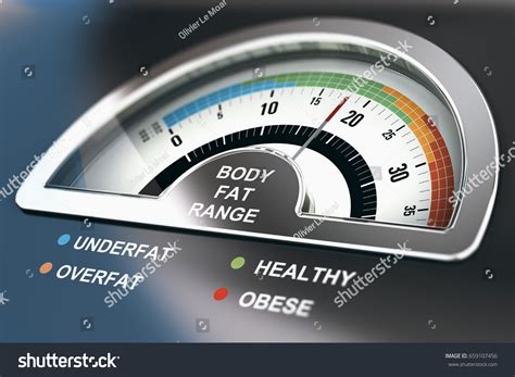 619 Body Fat Calculator Images, Stock Photos & Vectors | Shutterstock