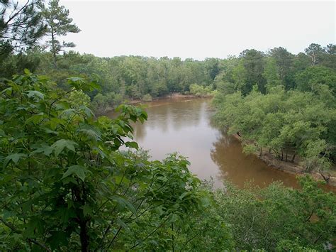 Cliffs of the Neuse State Park | Natural Atlas