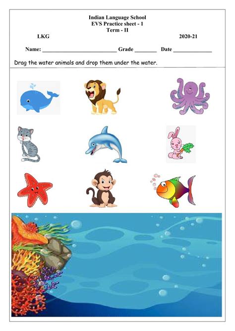 Water Animals interactive worksheet | Animal worksheets, Kindergarten worksheets, Water animals