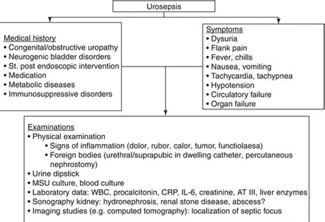 Urosepsis | SpringerLink