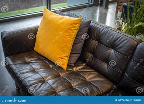 Pillows on Black Leather Couch. Stock Image - Image of cozy, indoor ...