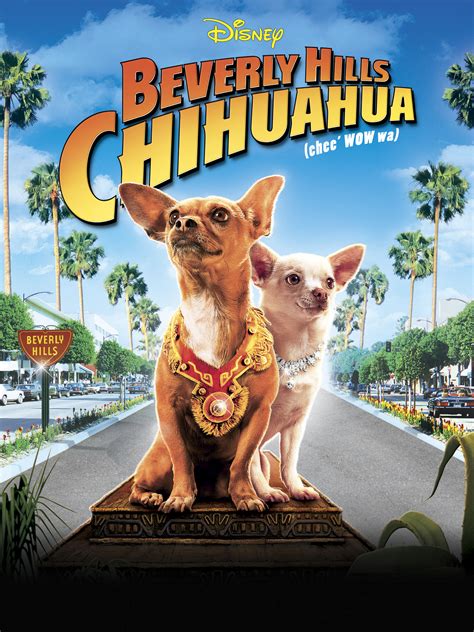 Beverly Hills Chihuahua - Where to Watch and Stream - TV Guide