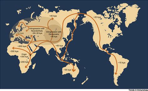 Migration Map Of Early Humans