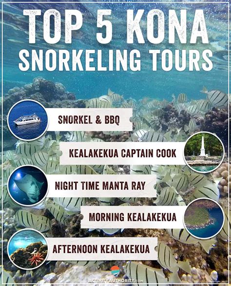 Top 5 Kona Snorkel Tours - Big Island, Hawaii Snorkel Tours