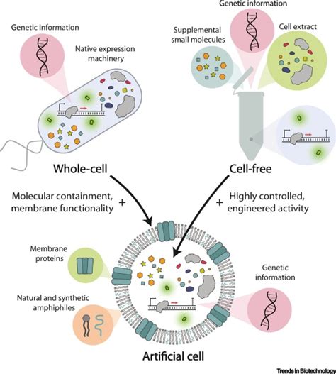 Designing Artificial Cells towards a New Generation of Biosensors: Trends in Biotechnology